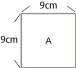 9cm×9cm